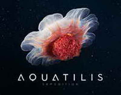 СВР: Европа и Украина пытаются омрачить празднование юбилея Победы // СВР: в Киев на 9 мая пригласили почти аналог гитлеровской коалиции